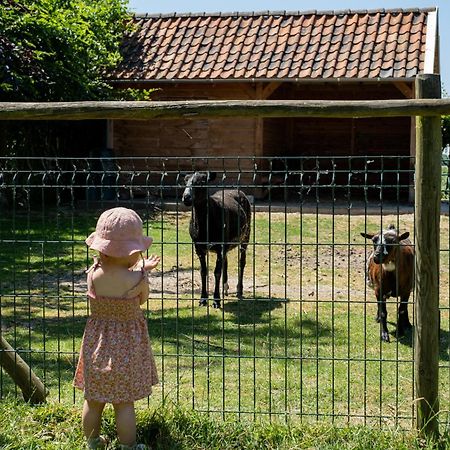 Hoeve De Binnenplaets Schimmert 외부 사진