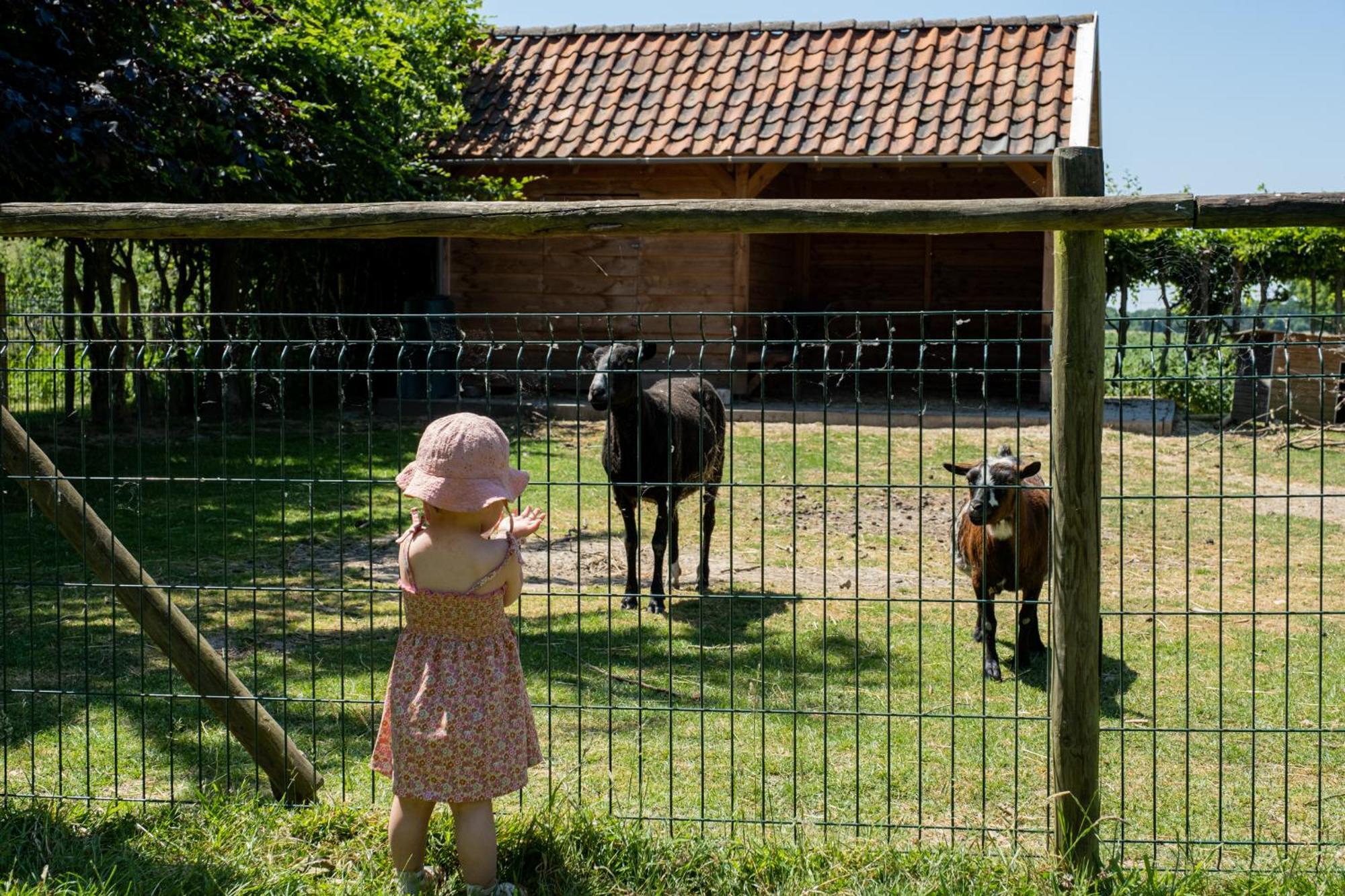 Hoeve De Binnenplaets Schimmert 외부 사진